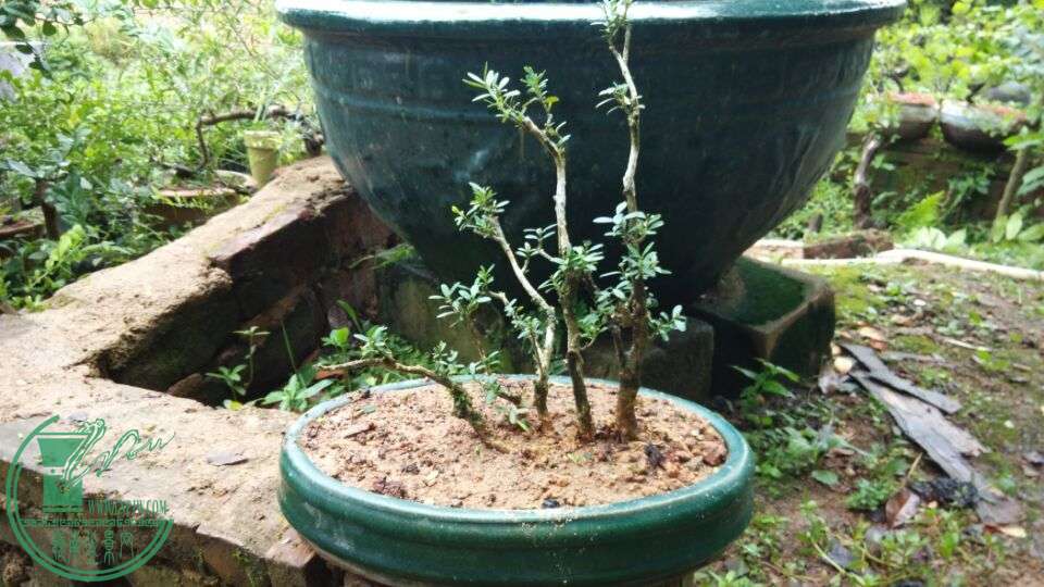 QQͼƬ20150809153649.jpg