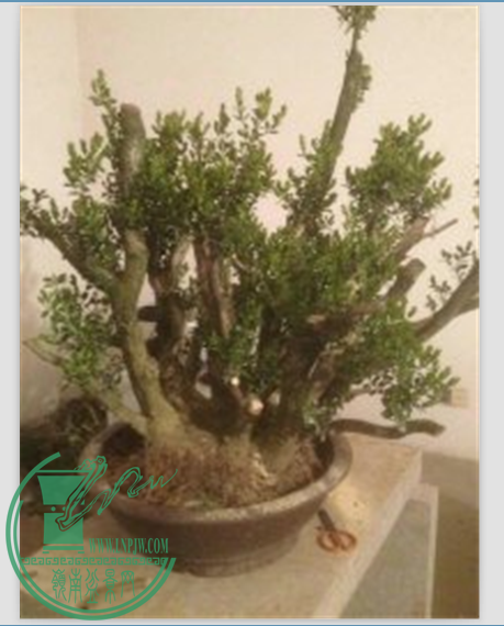 9JKO[P1CDFF27Z%V8@8%)U7.png