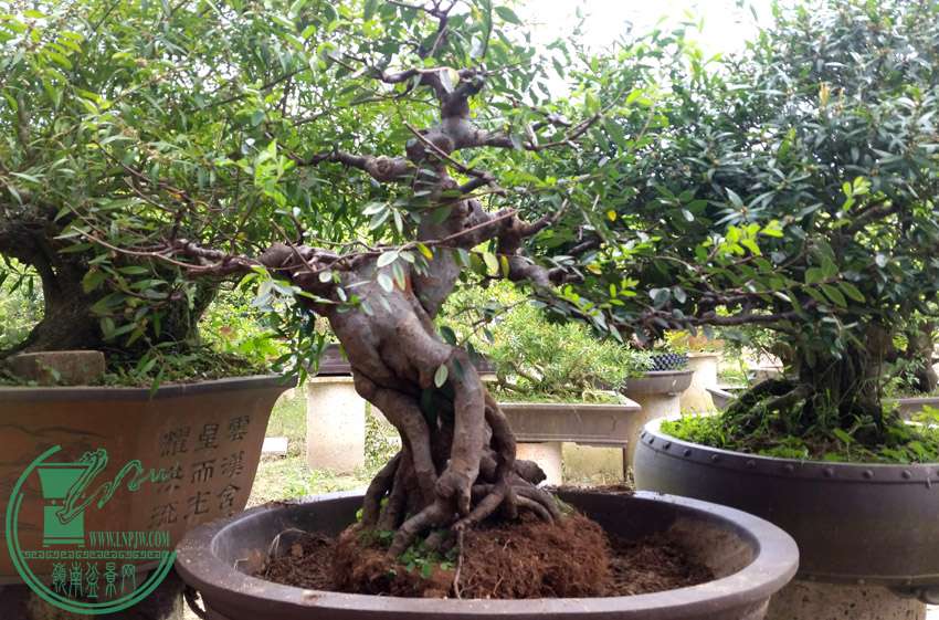 20150808_155638.jpg