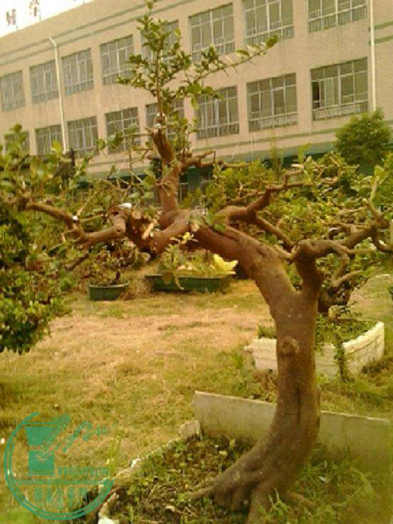 20150810191756.jpg