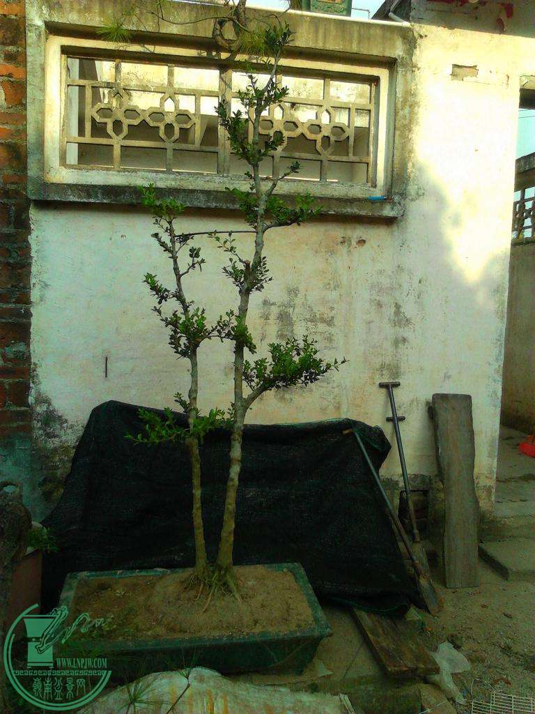 YP20150811172434.jpeg