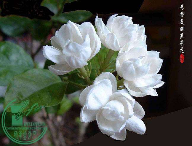 7f772df12c6efae37931aad7.jpg