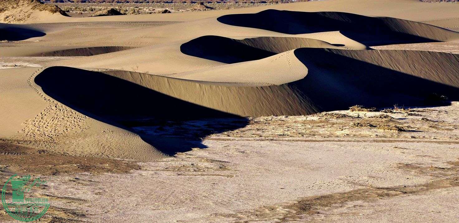 ع _DSC0725_.jpg