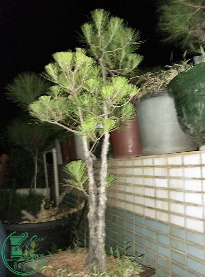 QQͼƬ20150814074549.jpg