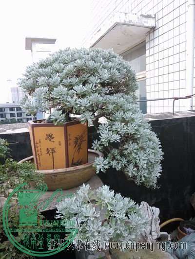 153022xy4juu4xjbbnznjy.jpg