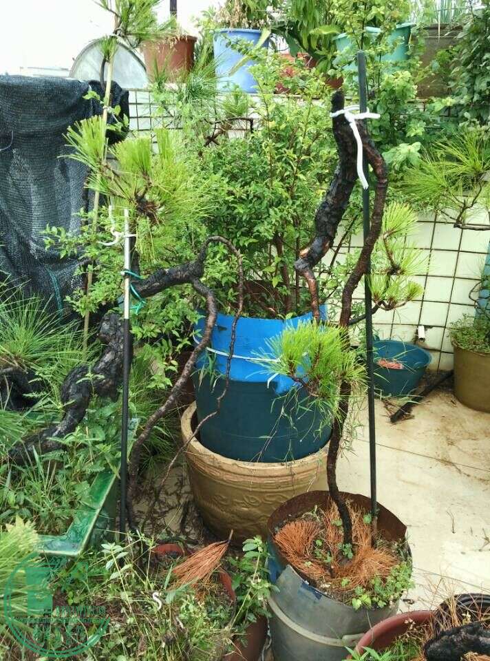 QQͼƬ20150815161147.jpg