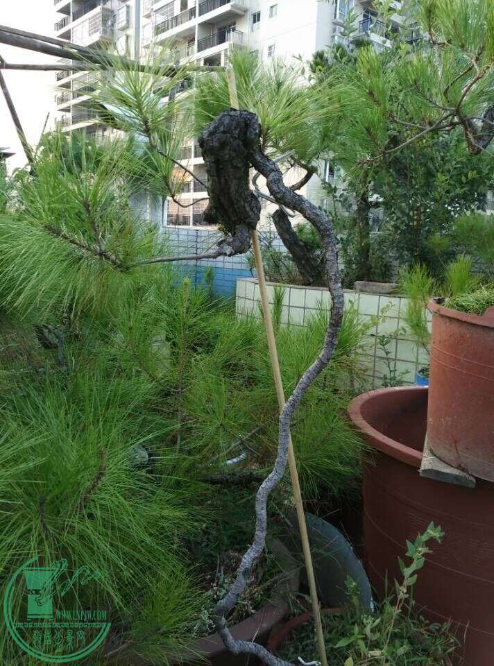 QQͼƬ20150815161255.jpg