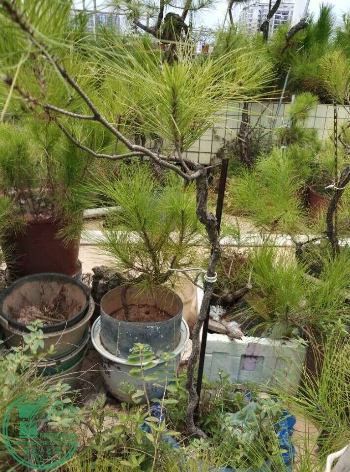 QQͼƬ20150815161353.jpg