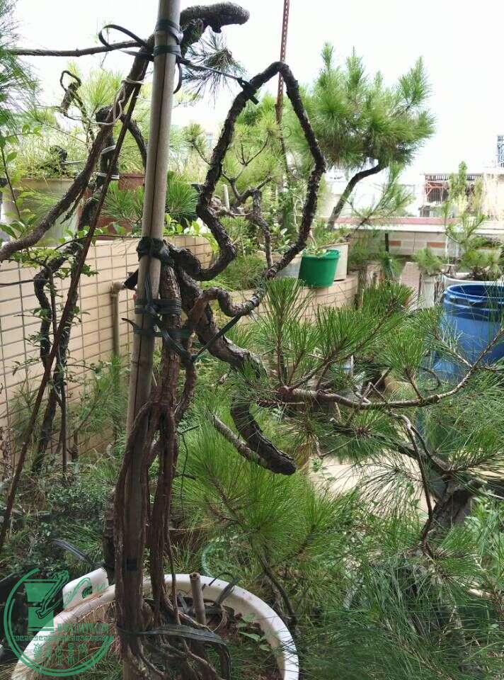 QQͼƬ20150815161840.jpg