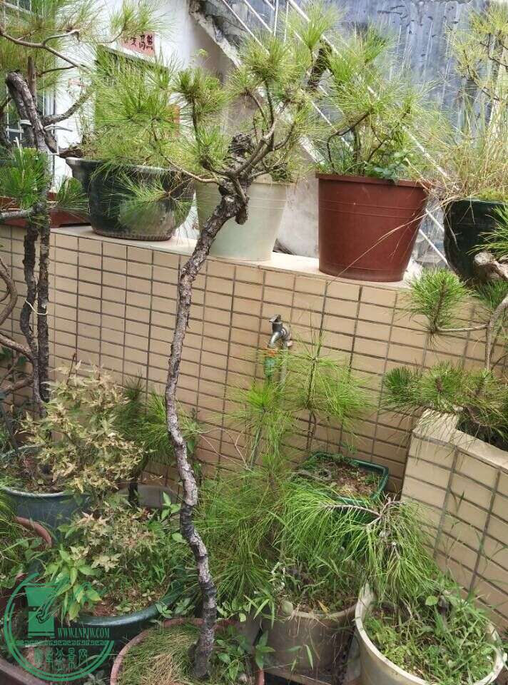 QQͼƬ20150815161847.jpg