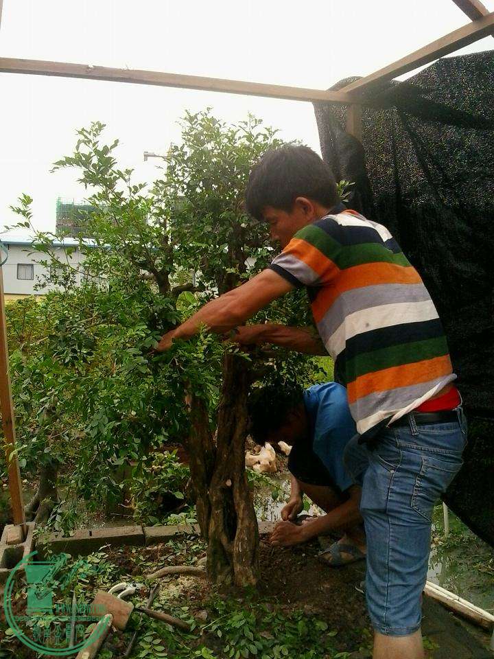 20150815153113.jpg