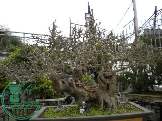 DSCN8047.JPG