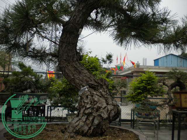 DSCN8048.JPG
