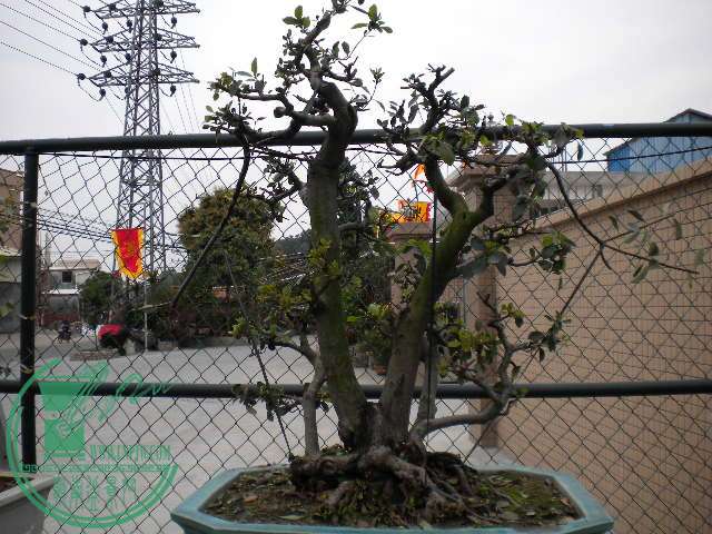 DSCN7846.JPG