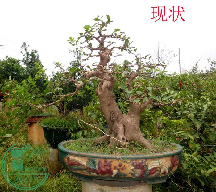 2014.9.5c.jpg