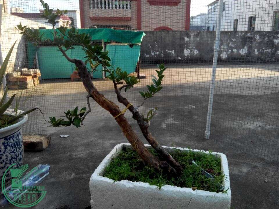 QQͼƬ20150818104947.jpg