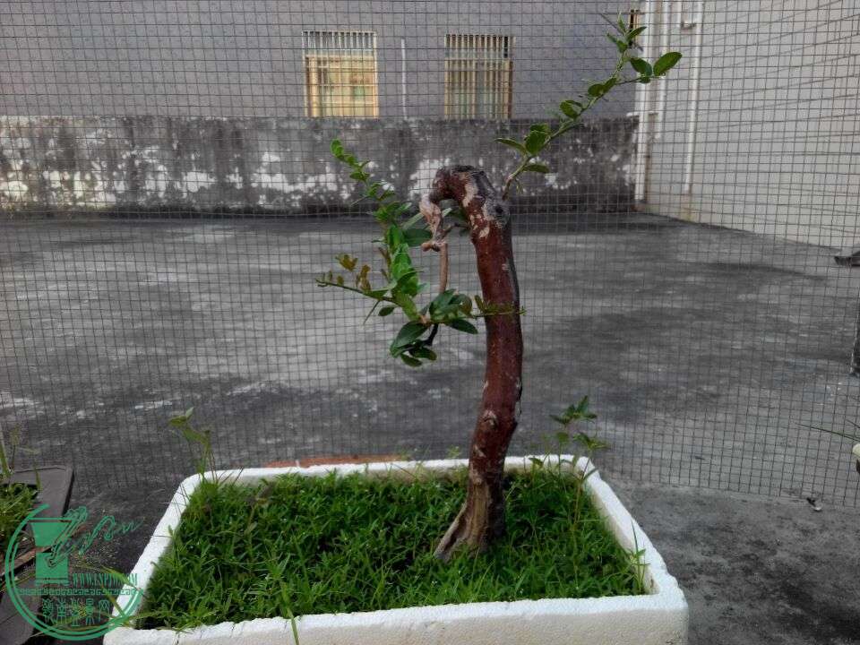 QQͼƬ20150818105001.jpg