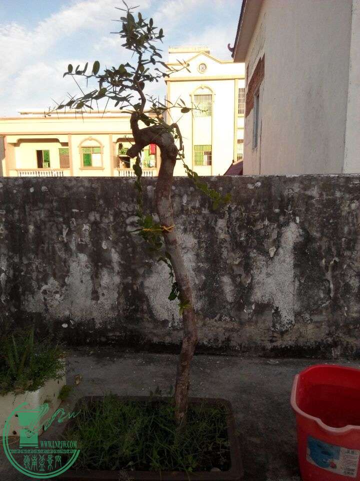 QQͼƬ20150818105004.jpg