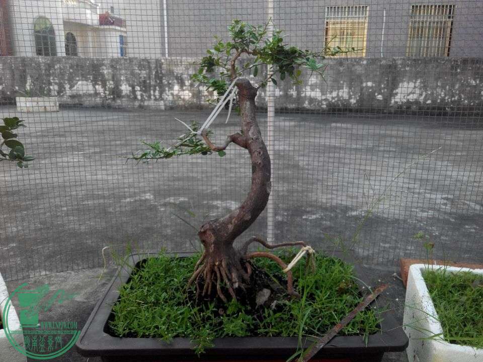QQͼƬ20150818105008.jpg