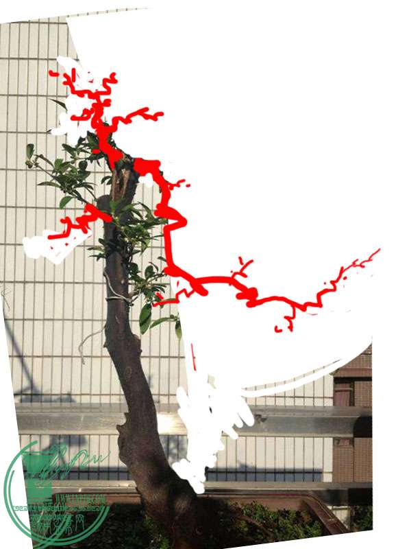 𶹸.jpg