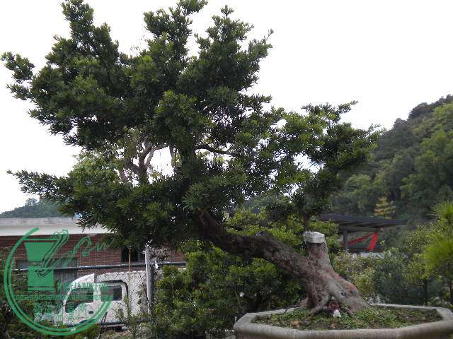 DSCN7865.JPG