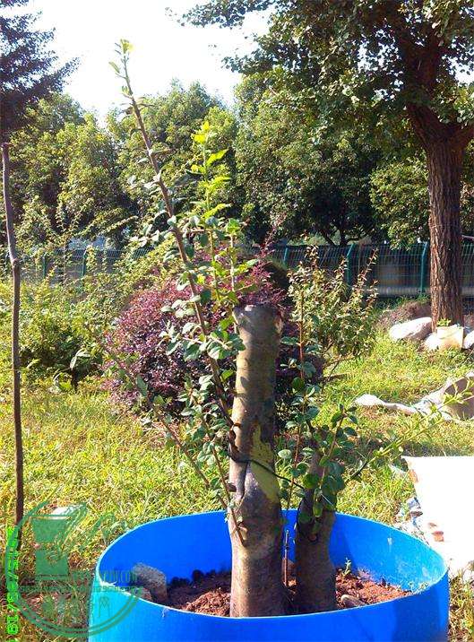 ѻ36IMG_20150819_082809_ͼ_ͼ_ͼ.jpg