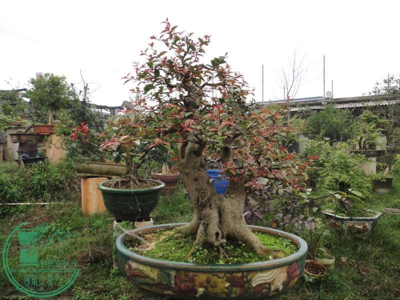 2014.4.8.JPG