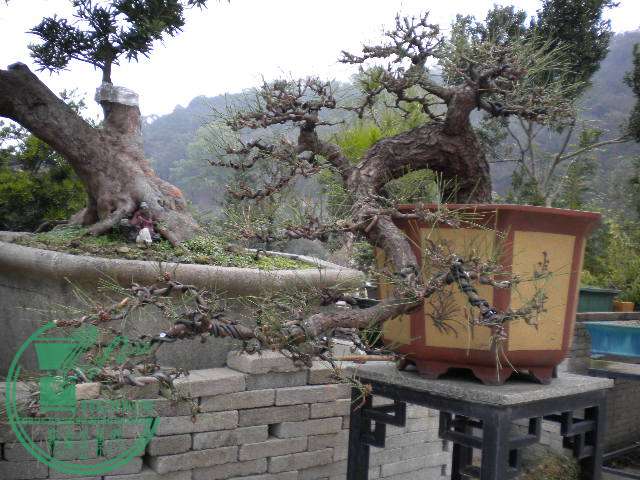 DSCN7817.JPG