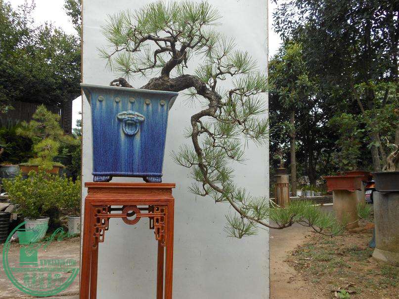 DSCN0830.JPG