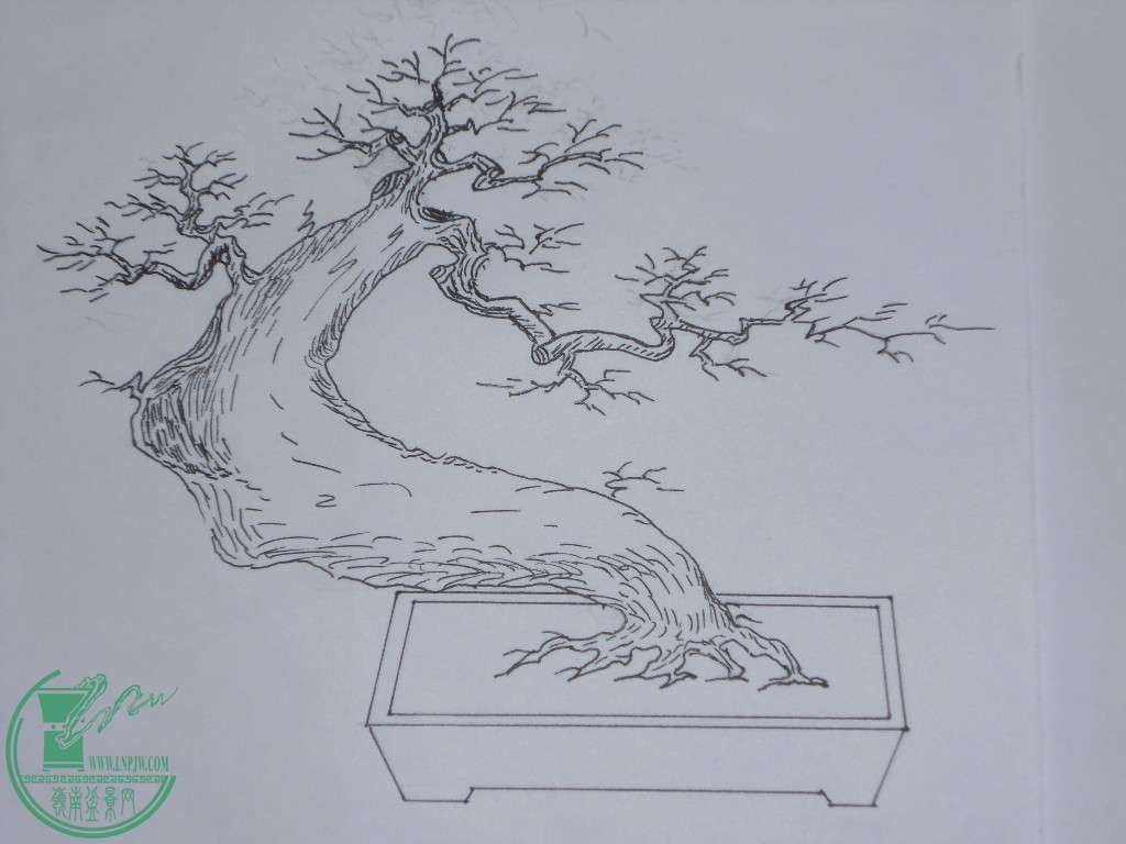 DSCN1366.jpg