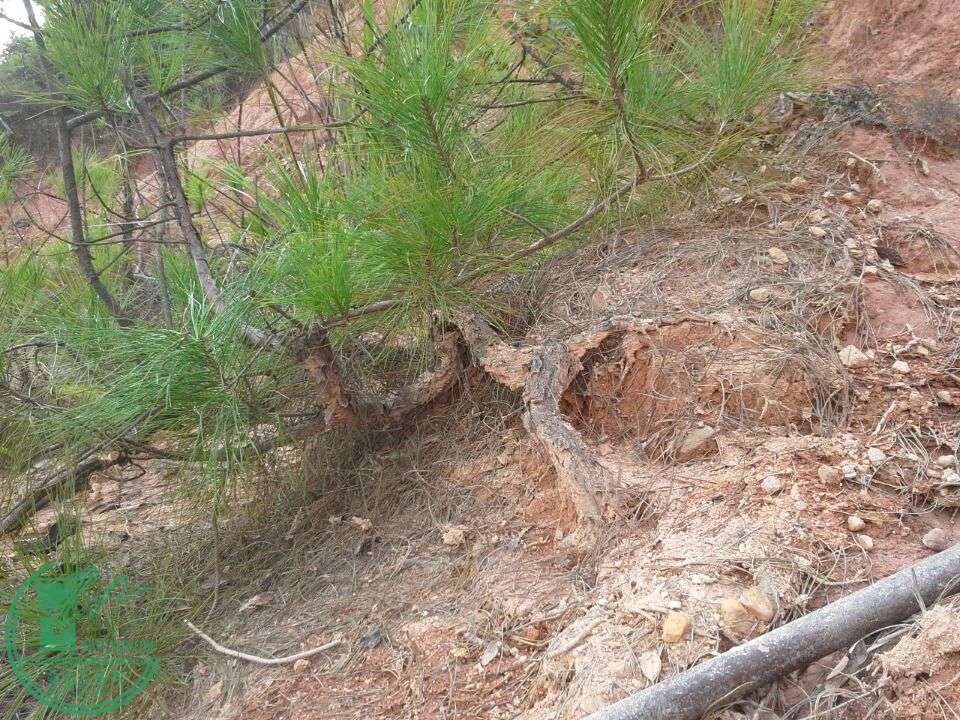 2015082315126.jpg