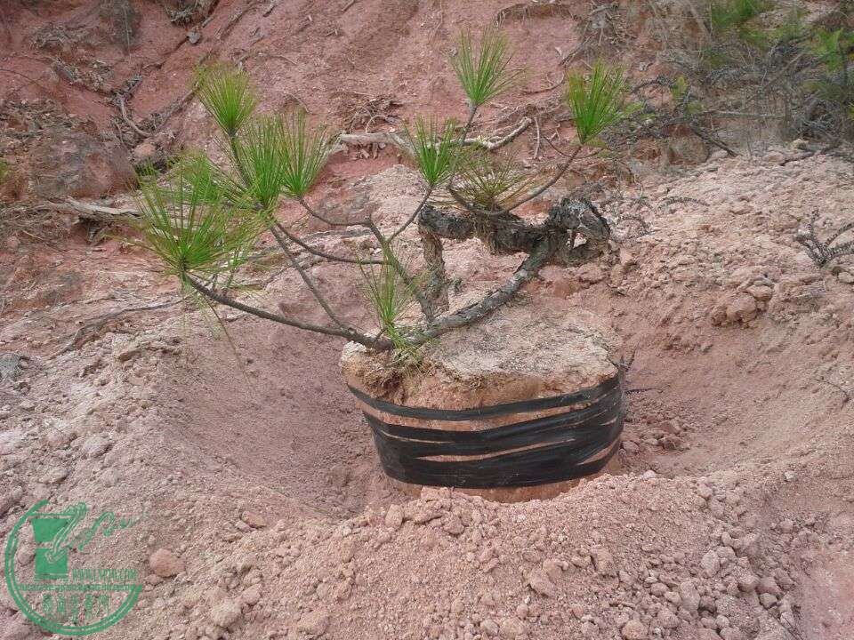 2015082315304.jpg