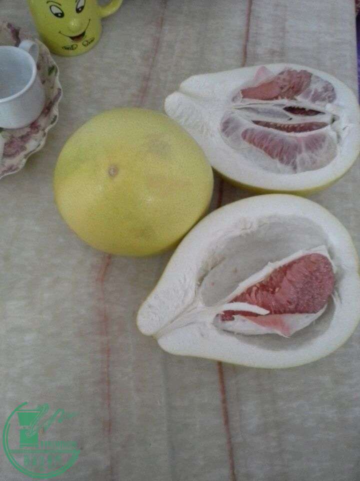2015082315317.jpg