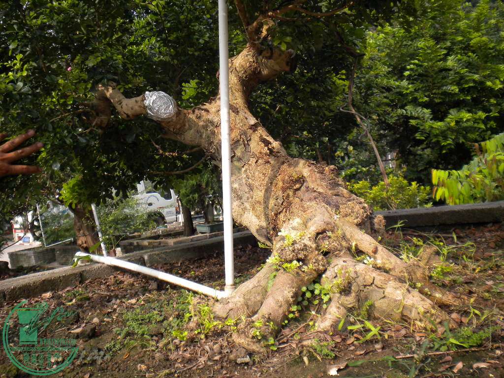 DSCN8426.JPG