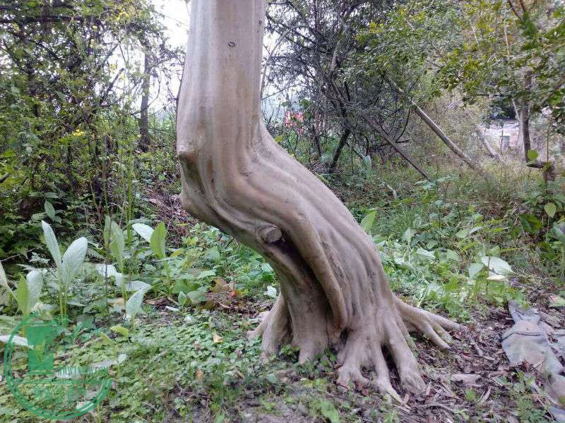675365