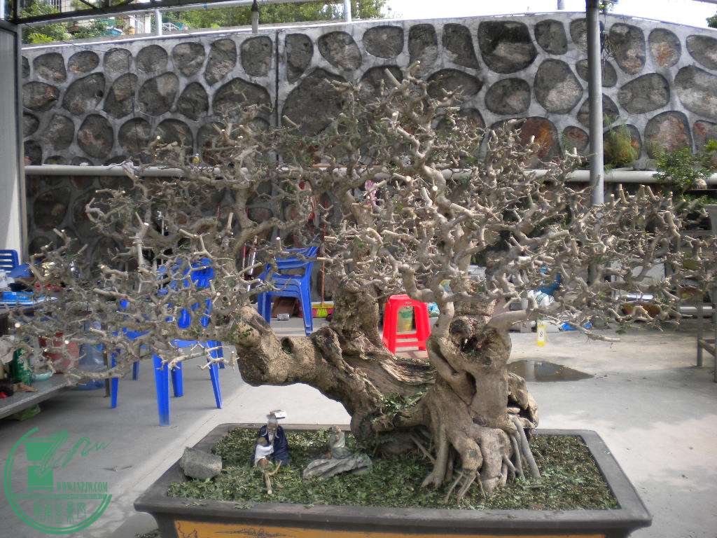 DSCN8410.JPG