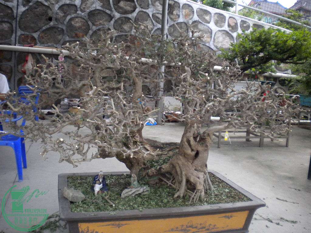 DSCN8396.JPG