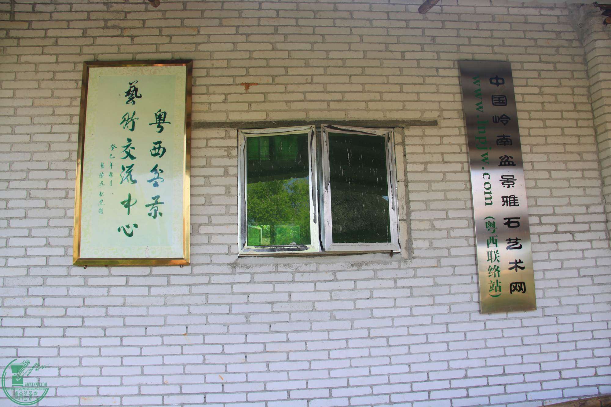 IMG_8799.jpg
