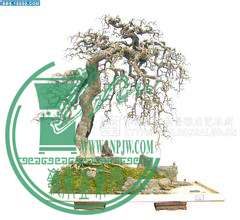 u=1929736510,2772283562&amp;fm=21&amp;gp=0.jpg