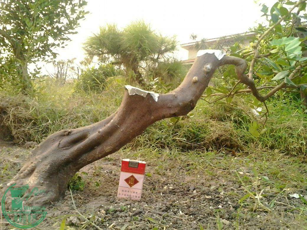 20150825182940.jpg