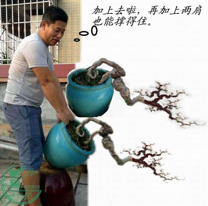 133057vi5wyccr2orc2oow.jpg.thumb.jpg
