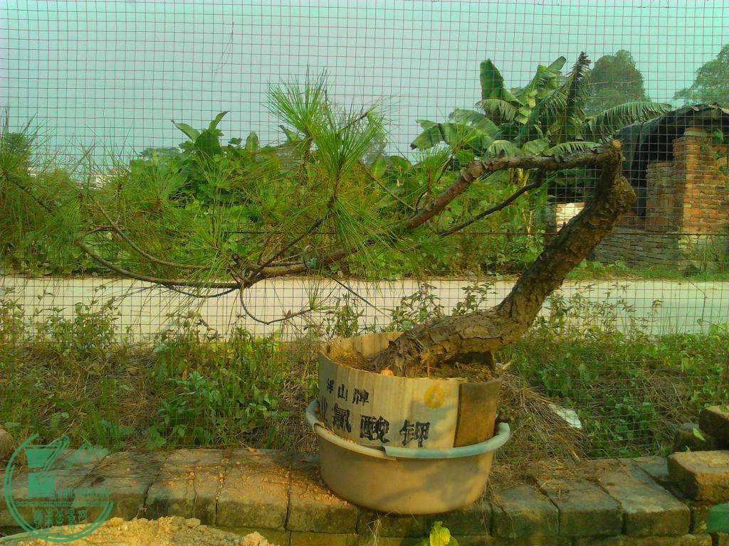  YP20150826164617.jpeg
