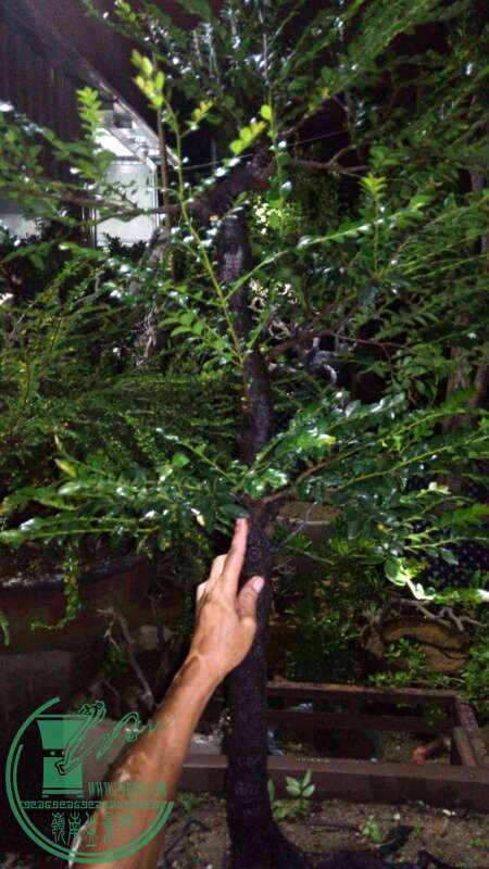 IMG_20150828_230432.jpg