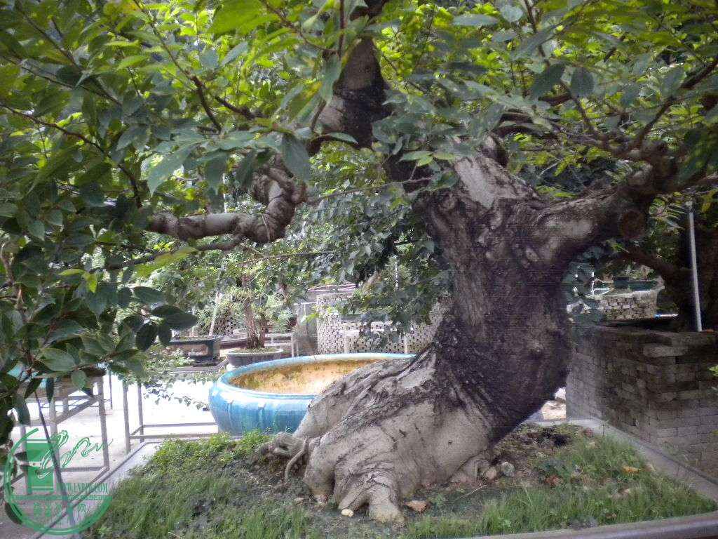 DSCN8406.JPG