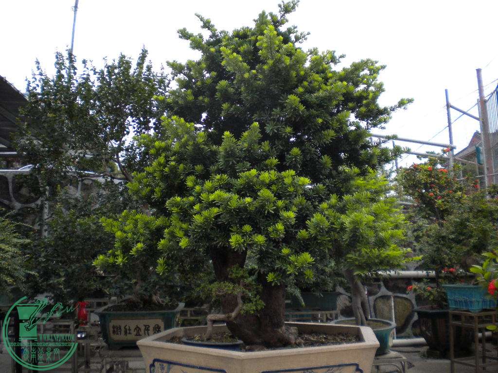 DSCN8398.JPG