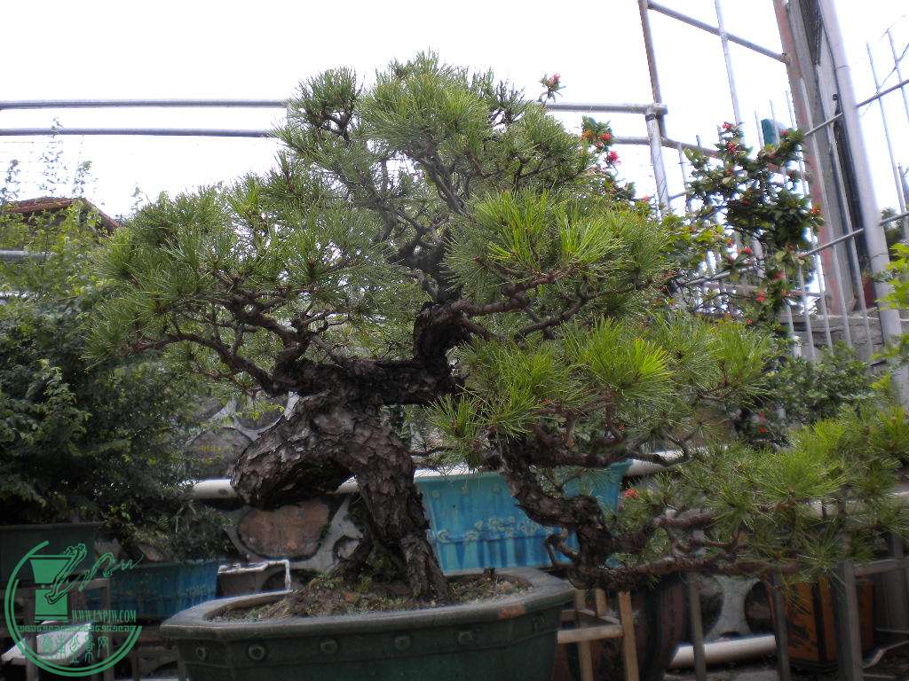 DSCN8399.JPG
