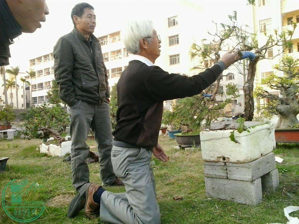 20141216165552.jpg