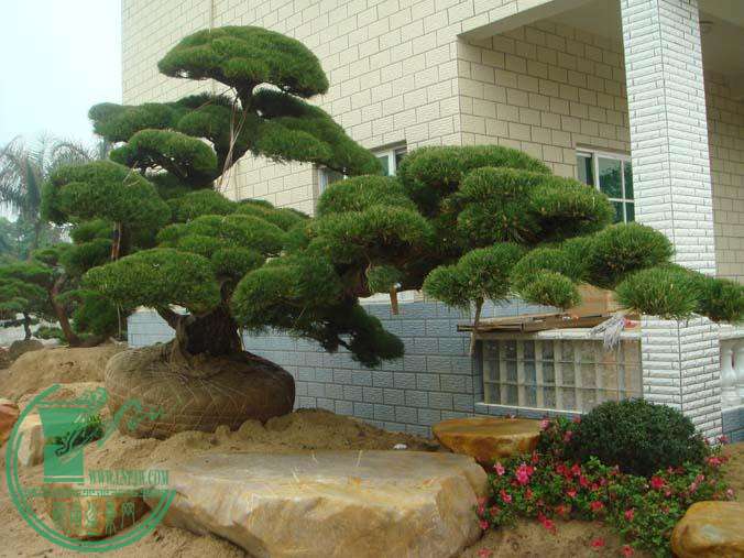 2011012317171943661.jpg