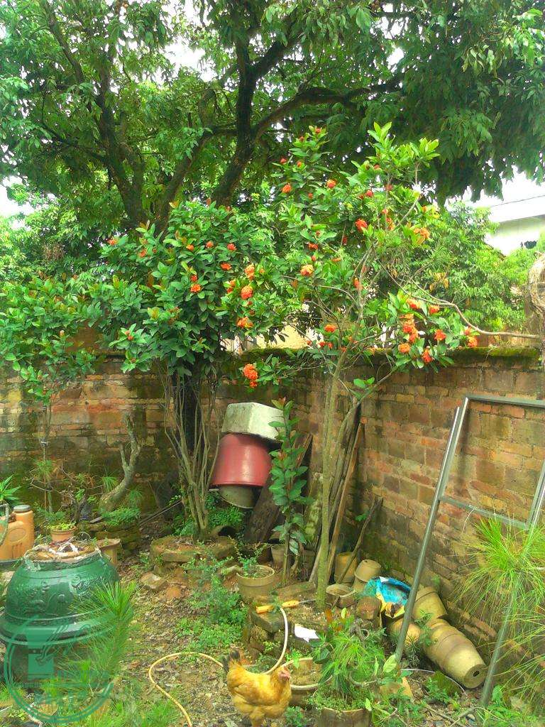  YP20150831100029.jpeg
