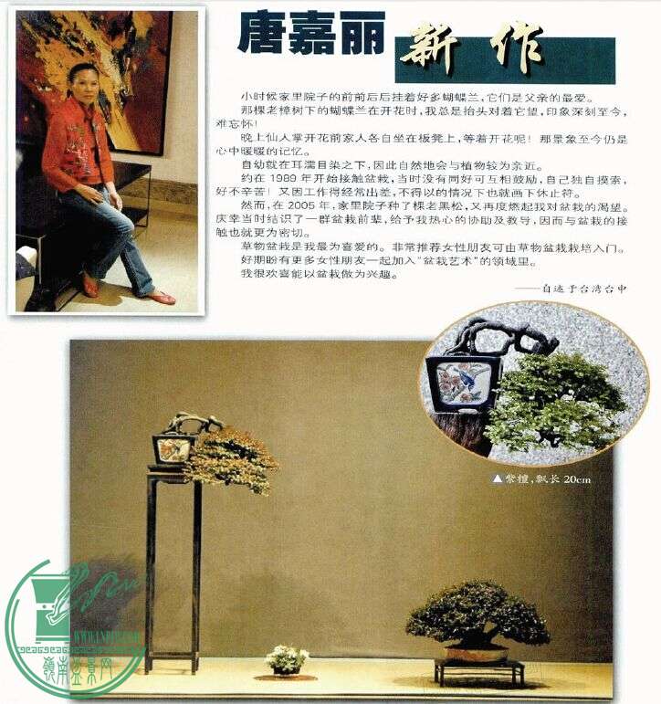 ľ辰(辰ʯ)201303.jpg